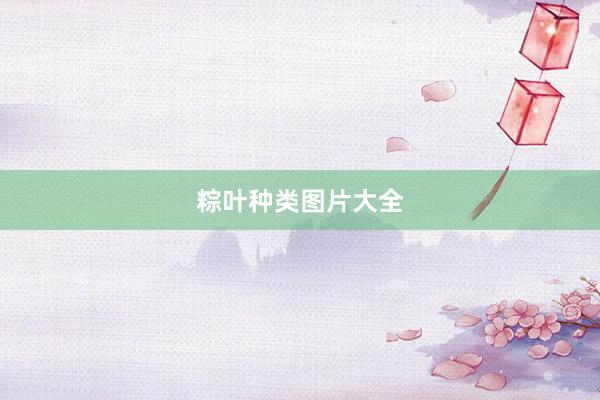 粽叶种类图片大全