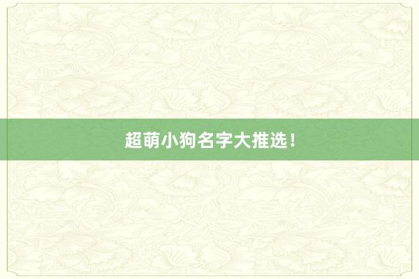 超萌小狗名字大推选！