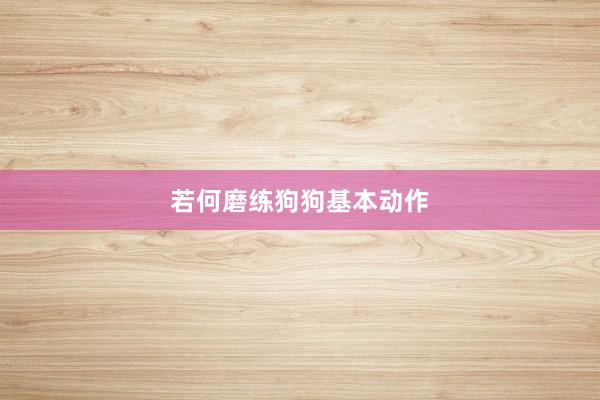 若何磨练狗狗基本动作
