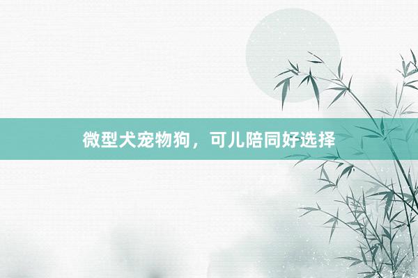 微型犬宠物狗，可儿陪同好选择