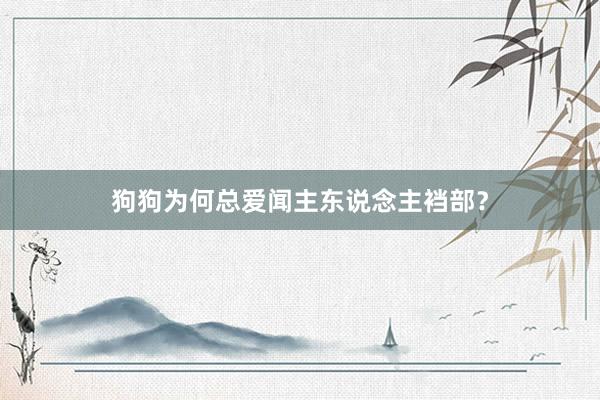 狗狗为何总爱闻主东说念主裆部?