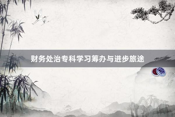 财务处治专科学习筹办与进步旅途
